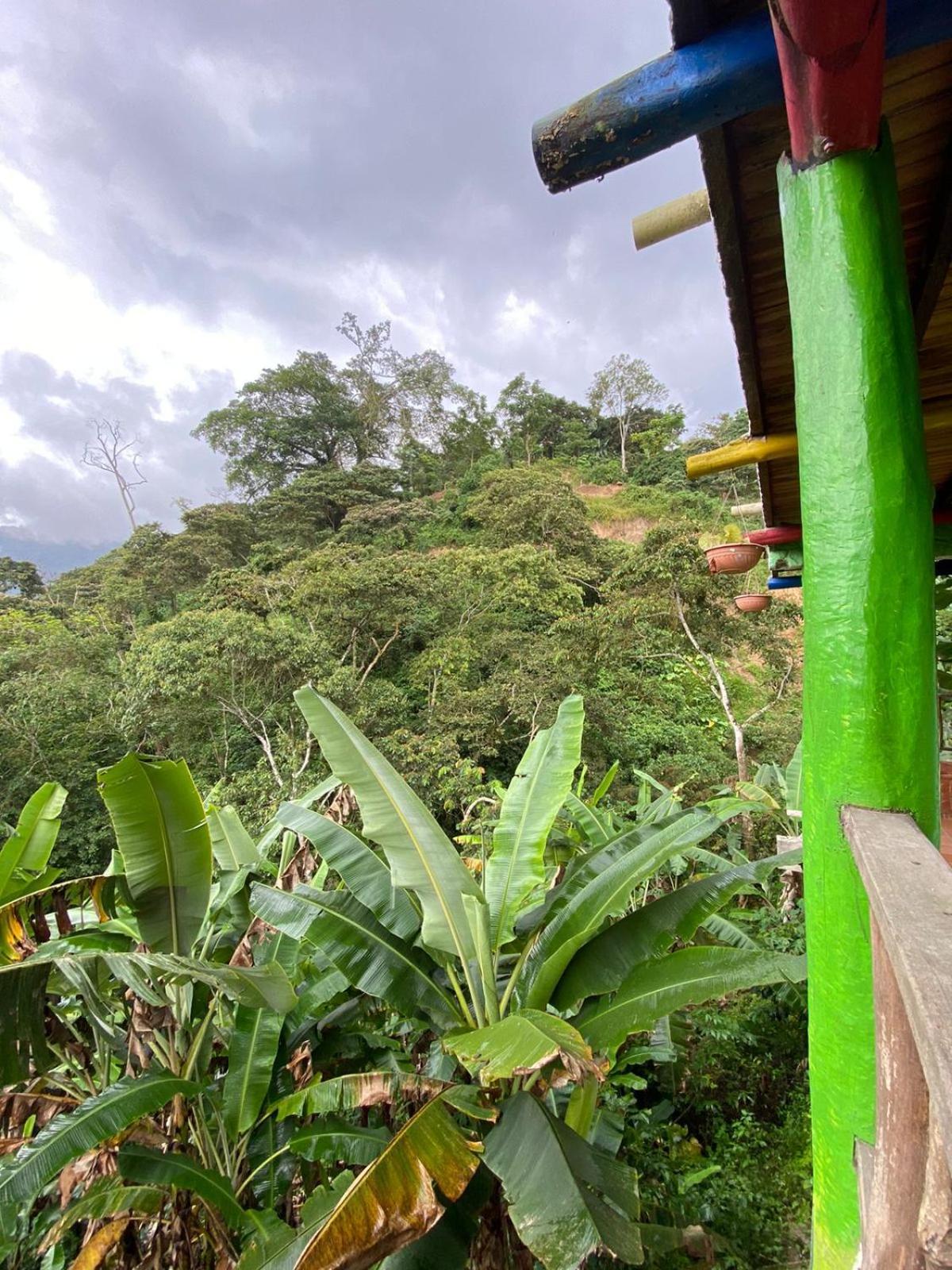 Hotel El Santuario Minca Kültér fotó